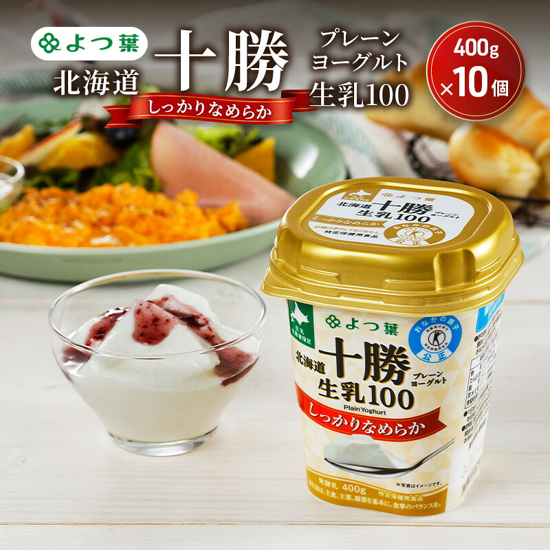 【ふるさと納税】よつ葉 「北海道十勝プレーンヨーグルト 生乳100 しっかりなめらか」400g×10【 よつ葉 北海道十勝プレーンヨーグルト 生乳100％ タンパク質 菌 効果 腸活 レシピ 食べ方 アレンジ 水切り はちみつ 違い やわらか 北海道 十勝 幕別 】