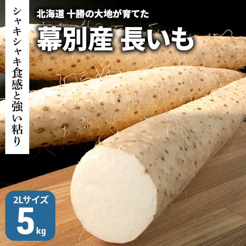 楽天市場】【ふるさと納税】北海道 十勝の大地が育てたシャキシャキ食