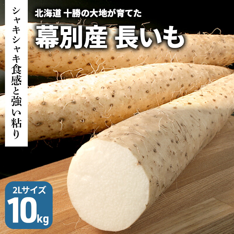 【ふるさと納税】北海道 十勝の大地が育てたシャキシャキ食感と強い粘り 幕別産 長いも 2Lサイズ 10kg［木川商店］【 長いも 長芋 ながいも ナガイモ とろろ 芋 いも 野菜 10kg 5kg 産地直送 旬 濃厚 北海道 十勝 幕別 】