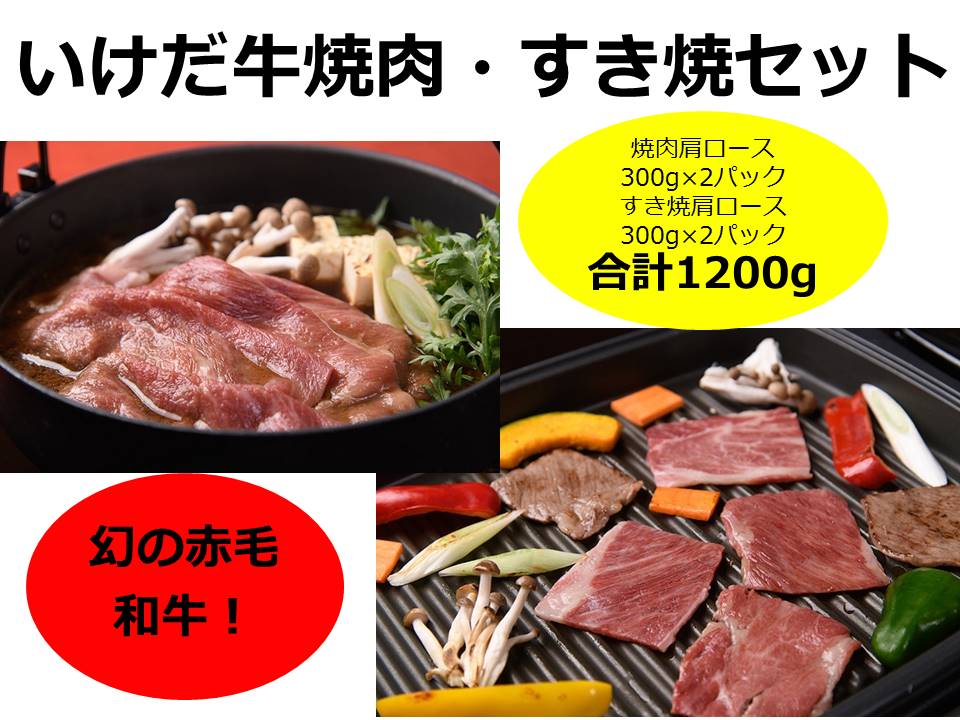 プレゼント サプライズ 十勝池田食品 3点セット(ちほく高原ベーコン 