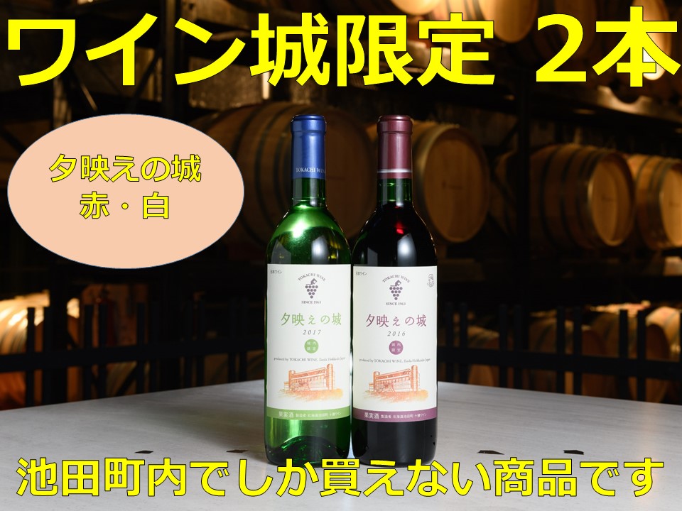 特別プライス ふるさと納税 池田町 十勝ワイン ハーフボトル12本セット 通販