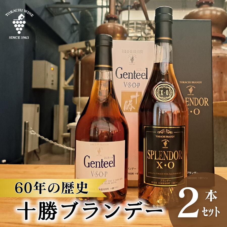 楽天市場】【ふるさと納税】飲み比べ ニッカブランデー 2種2本