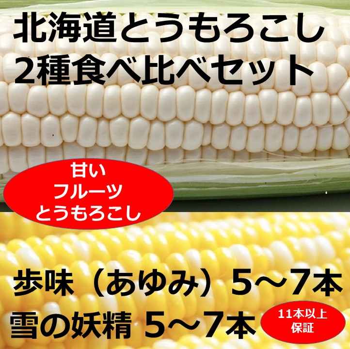 【ふるさと納税】訳あり 北海道 朝獲れ とうもろこし 2種 食べ比べセット 11～13本 甘い トウモロコシ 人気 送料無料 ホワイトコーン バイカラーコーン