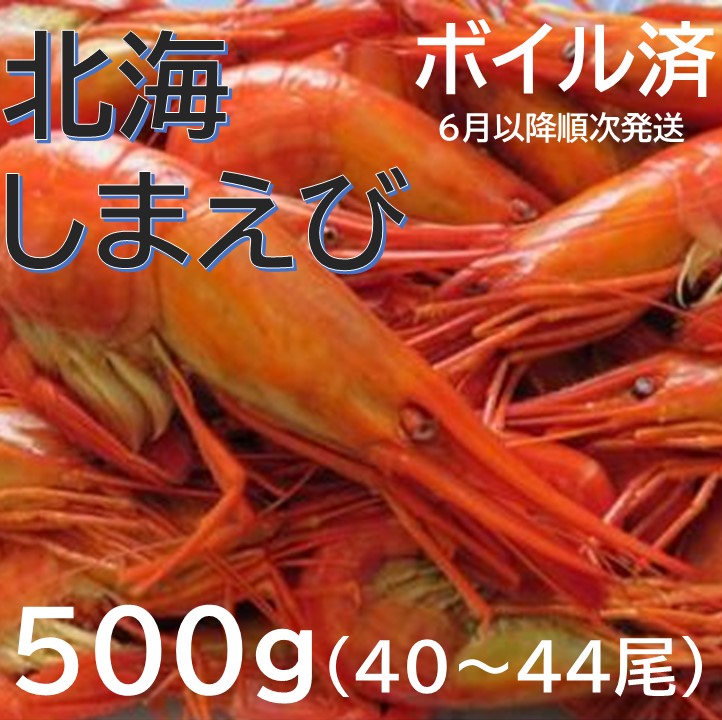 【ふるさと納税】新物 北海縞海老（シマエビ） 500g 40～44尾 無添加 エビ 海老 えび しまえび 縞えび ボイル済 国産 送料無料 ふるさと納税  Sサイズ