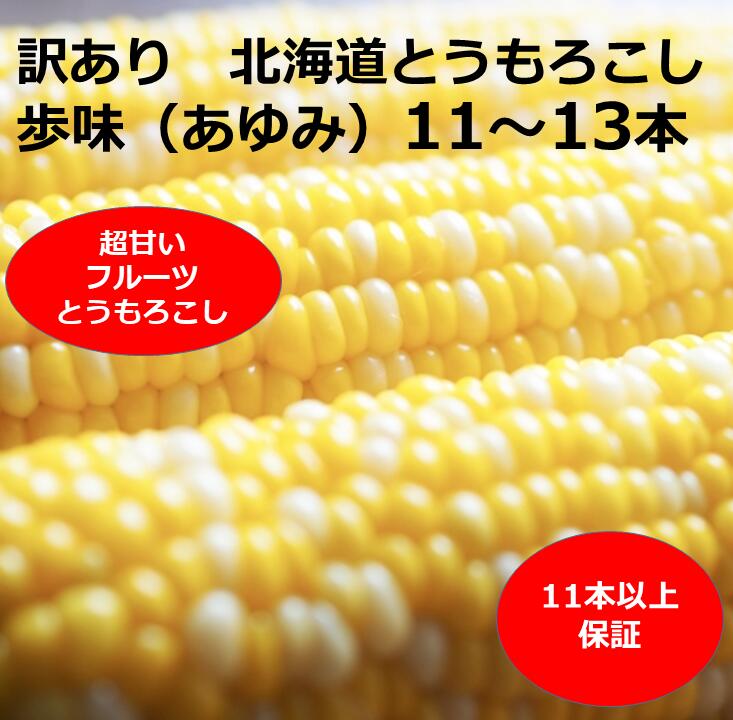 【ふるさと納税】訳あり とうもろこし 11~13本  歩味（あゆみ）バイカラーコーン 甘い とうもろこし  北海道 11本以上保証 数量限定 期間限定 トウモロコシ 送料無料