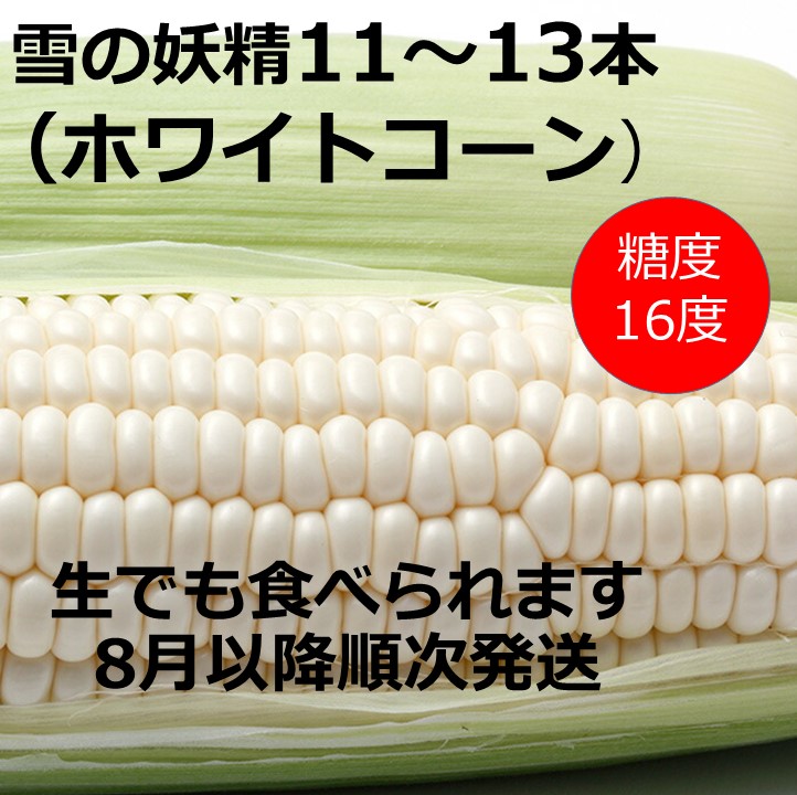 【ふるさと納税】訳あり 雪の妖精（ホワイトコーン）11～13本入り 朝獲れ 北海道 とうもろこし トウモロコシ 甘い 人気 送料無料