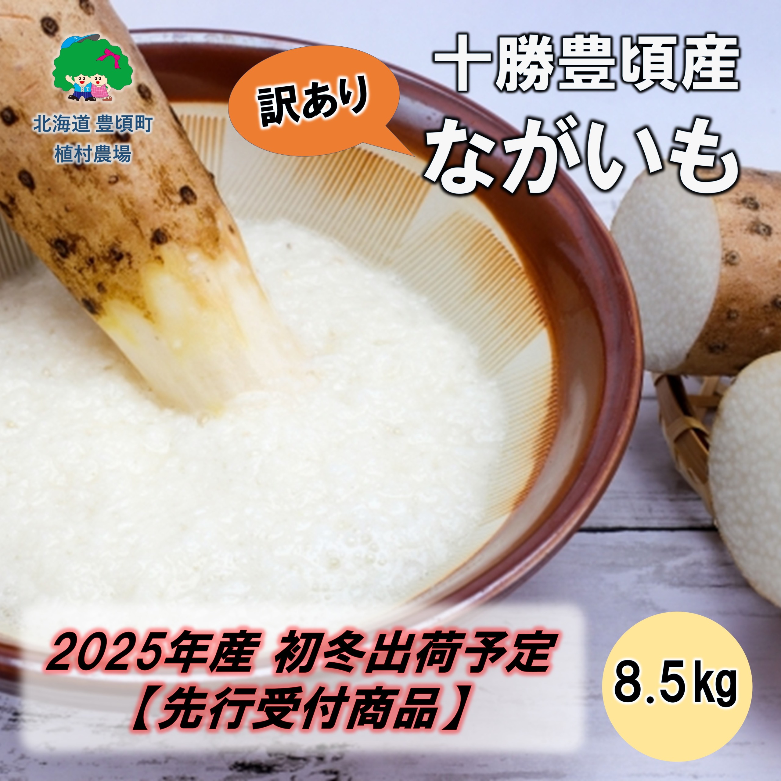 【ふるさと納税】【訳あり】十勝豊頃産 ながいも8.5kg【2025年初冬出荷（先行受付）】【植村農場】