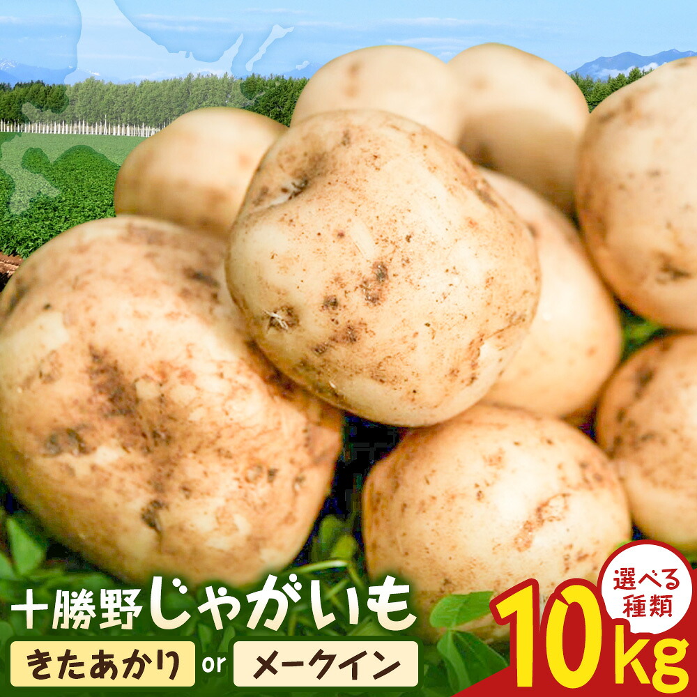 【ふるさと納税】【2026年秋出荷】先行予約 十勝野じゃがいも 10kg 選べる きたあかり メークイン 詰め合わせセット 按田農場《2026年10月中旬-11月上旬頃出荷》北海道 豊頃町 十勝野 じゃがいも セット 農家直送 数量限定