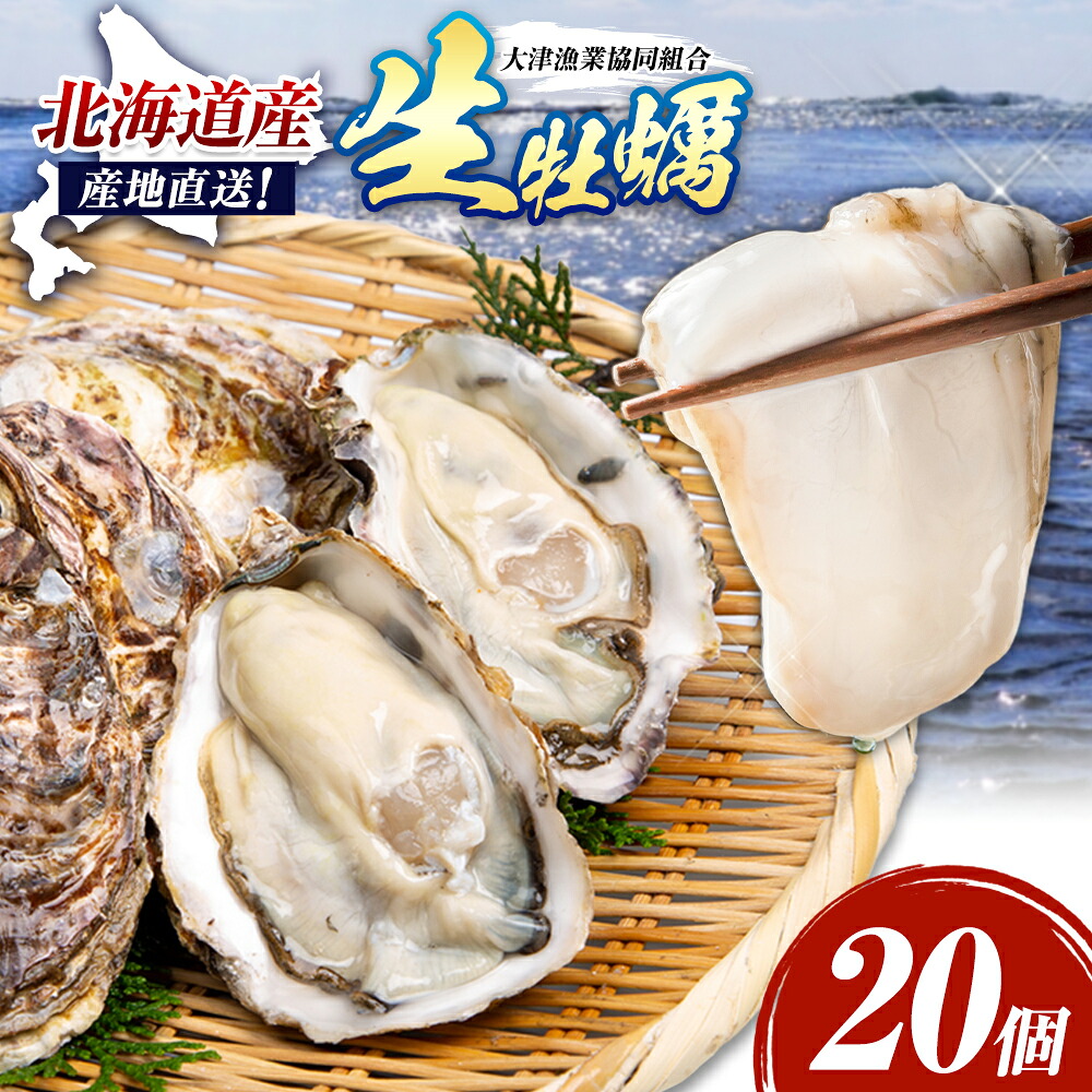 【ふるさと納税】生食用 生牡蠣 20個 殻付き 産地直送 大津漁業協同組合 2026年先行予約 北海道 豊頃町 大津産 牡蠣 かき カキ 生ガキ 刺身 焼き牡蠣 蒸し牡蠣 バーベキュー BBQ 海鮮 旬 贅沢 グルメ 産直 送料無料 《5月中旬-6月下旬頃出荷》