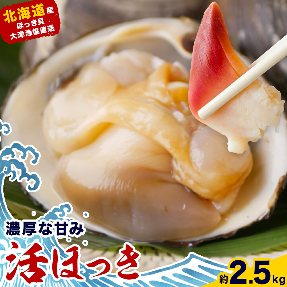 【ふるさと納税】活ほっき貝 2.5kg 殻付き 大津漁業協同組合 2026年先行予約 北海道 豊頃町 大津産 ほっき ホッキ 刺身 ほっき飯 炊き込みご飯 バター焼き 焼き貝 海鮮 旬 贅沢 お取り寄せ グルメ 産地直送 送料無料 《5月中旬-6月下旬頃出荷》