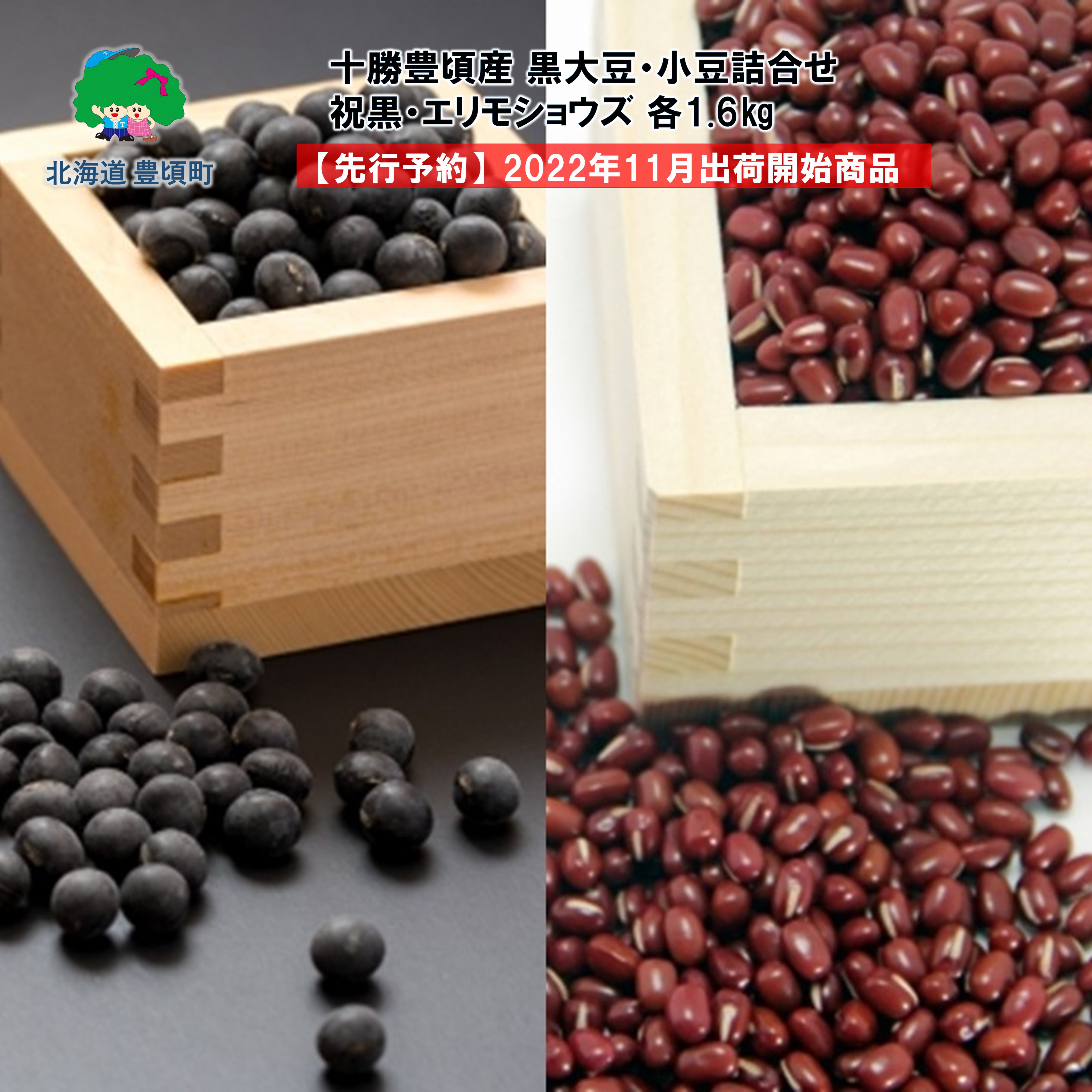十勝豊頃産 黒大豆 1.6kg･ 小豆 1.6kg 詰合せ( 祝黒 ･ エリモショウズ )［松崎農場］" 北海道 十勝 豊頃町 先行予約 予約  特産  農家直送  数量限定  送料無料 くろまめ あずき しょうず