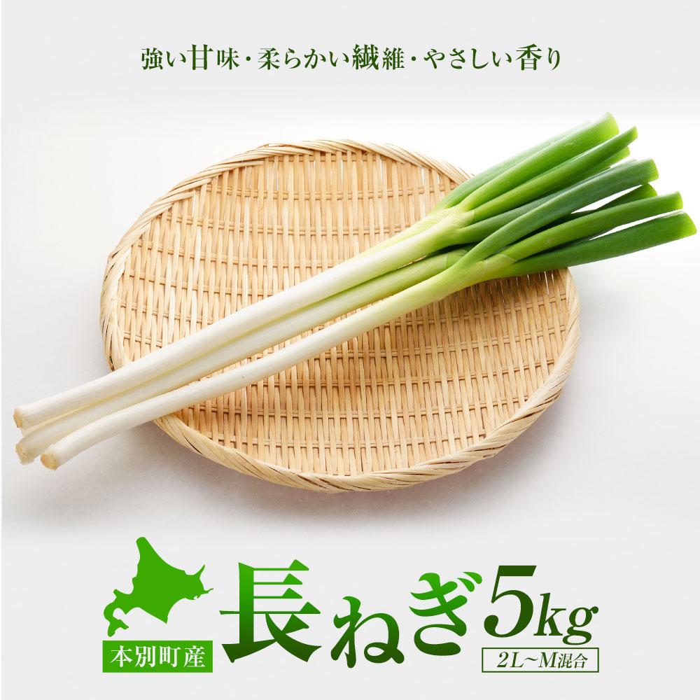 【ふるさと納税】長ねぎ 約5kg 2L～Mサイズ 混合 石上農場 2026年予約 北海道 本別町産 十勝 産地直送 長ネギ ねぎ 葱 白ねぎ 野菜 5キロ 旬 新鮮 鍋 焼きねぎ 薬味 料理 お取り寄せ グルメ 保存 備蓄 生活応援 家計応援 送料無料 《11月上旬-12月下旬順次出荷》