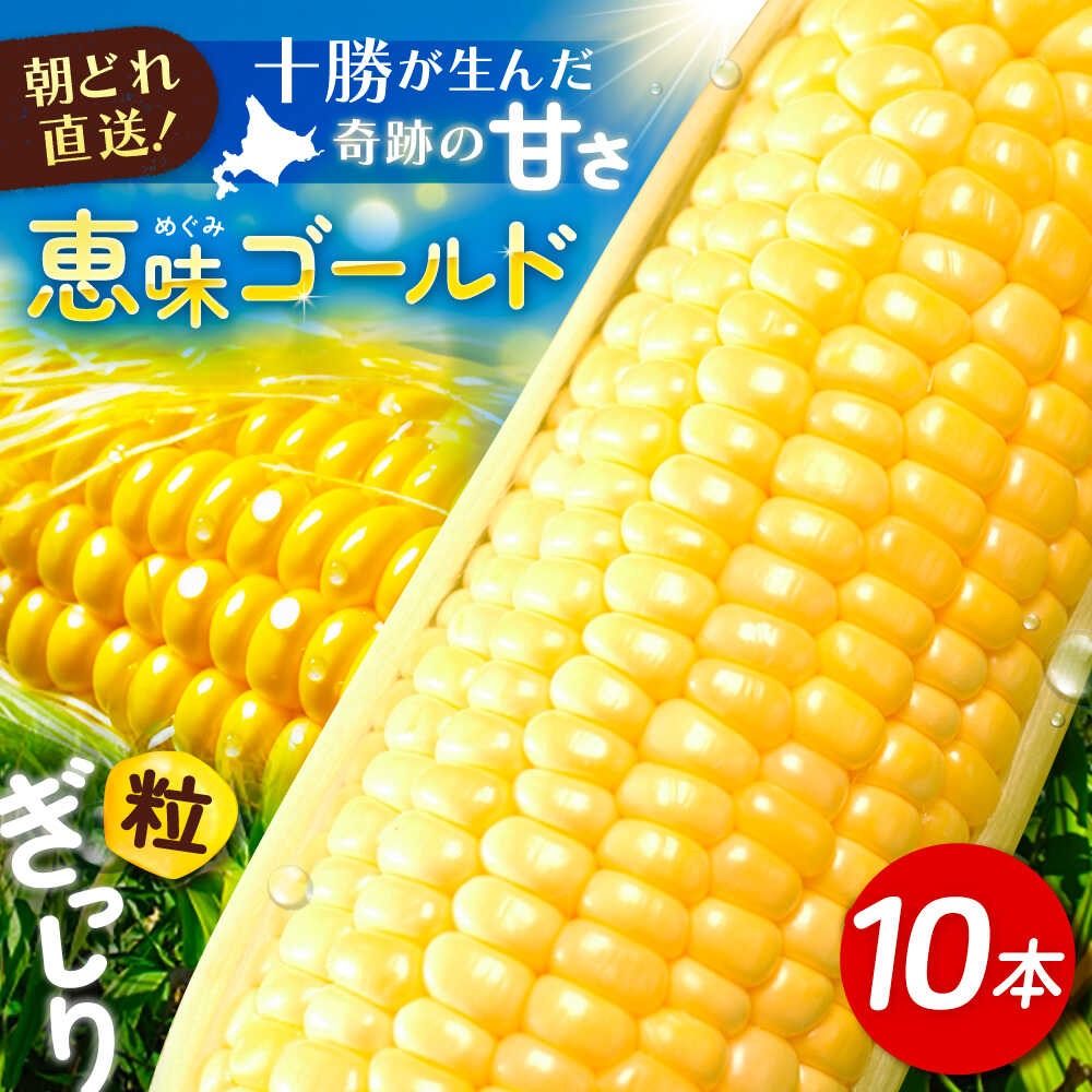 【 ふるさと納税 】 北海道 朝もぎ とうもろこし 10本 （ 恵味ゴールド ）《 足寄町 》【 党崎農場 】 トウモロコシ とうきび 朝どれ  甘い 野菜 採れたて野菜 農家 おすすめ 北海道産 あしょろ [BEAA003]