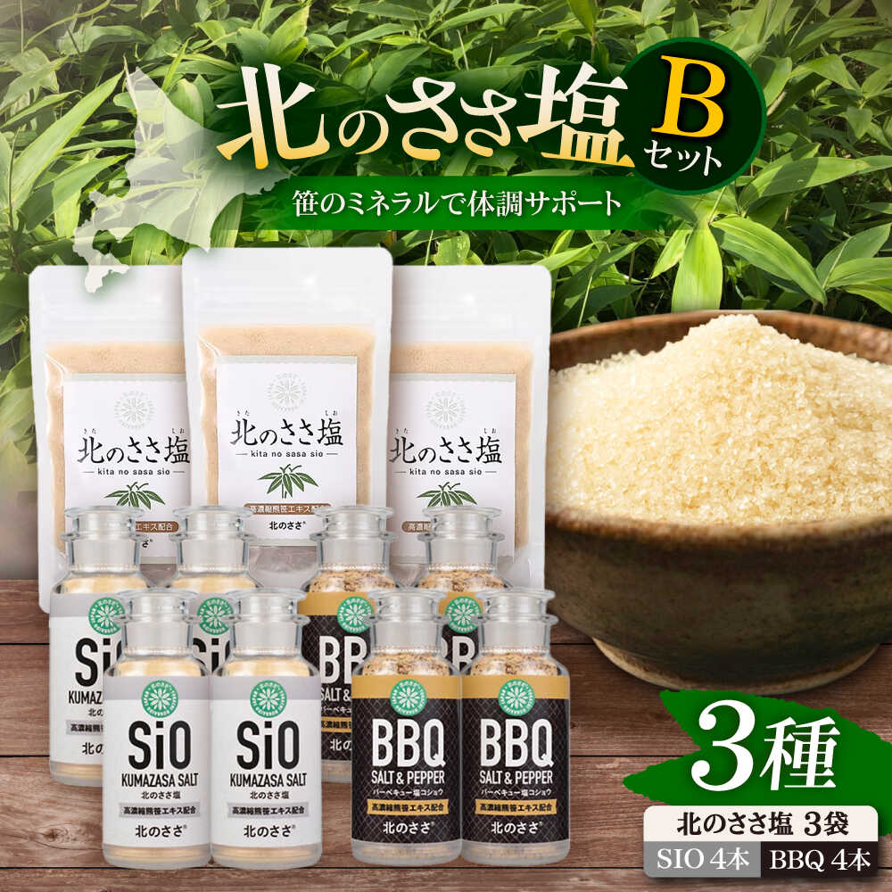 【ふるさと納税】 北のささ塩 Bセット（北のささ塩100g&times;3袋・SIO75g&times;4本・BBQ75g&times;4本）《足寄町》【株式会社北のささ】 塩 しお ささ塩 ソルト 卓上 胡椒 コショウ 黒胡椒 黒コショウ 料理 調味料 おにぎり BBQ アウトドア おすすめ 北海道産 あしょろ 北海道 [BEAR004]｜北海道足寄町