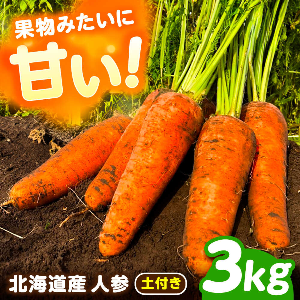 【ふるさと納税】北海道 にんじん 3kg（土付き）《足寄町》【餌取農場】 北海道産 甘い 人参 野菜 根菜 ニンジン 3kg 道産 キャロット 糖度高め サラダ ジュース 生鮮野北海道産 菜 あしょろ 足寄[BEBA002]