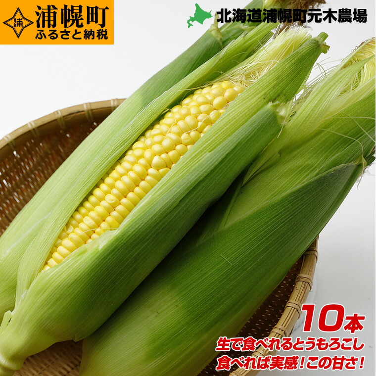 ふるさと納税 とうもろこし10本 Lサイズ おひさまコーン 元木農場 北海道浦幌町産 生でも食べられる糖度度以上 朝もぎたてとうもろこし 9月中旬 下旬より順次配送 Cdm Co Mz