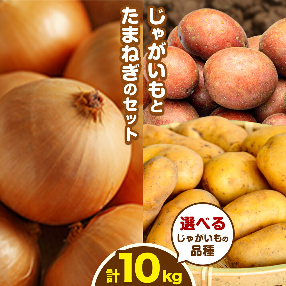 【ふるさと納税】じゃがいも&たまねぎ計10kg 選べる 品種 (インカのめざめ キタアカリ メークイン レッドムーン ひとみ ゆめいころ ルージュ)2026年予約 橋枝物産 野菜 根菜 常備菜 料理 離乳食 北海道 十勝 浦幌町 産直 送料無料 《10月中旬より順次出荷》