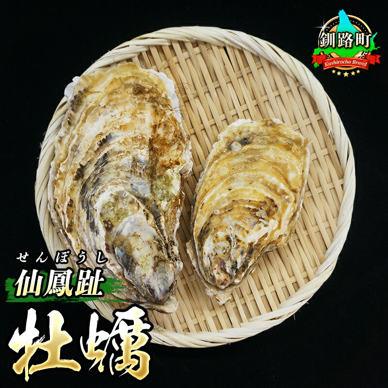 【ふるさと納税】＼先行予約／【容量＆個数が選べる！】北海道 仙鳳趾名産 牡蠣 +かきナイフ付き かき漁師直送 K3 ＜出荷時期：2025年7月1日ごろ～順次出荷＞＜センポウシ : 釧路町の東 厚岸湾の西 カキの名産地＞北海道 釧路町 釧路超 特産品 br02