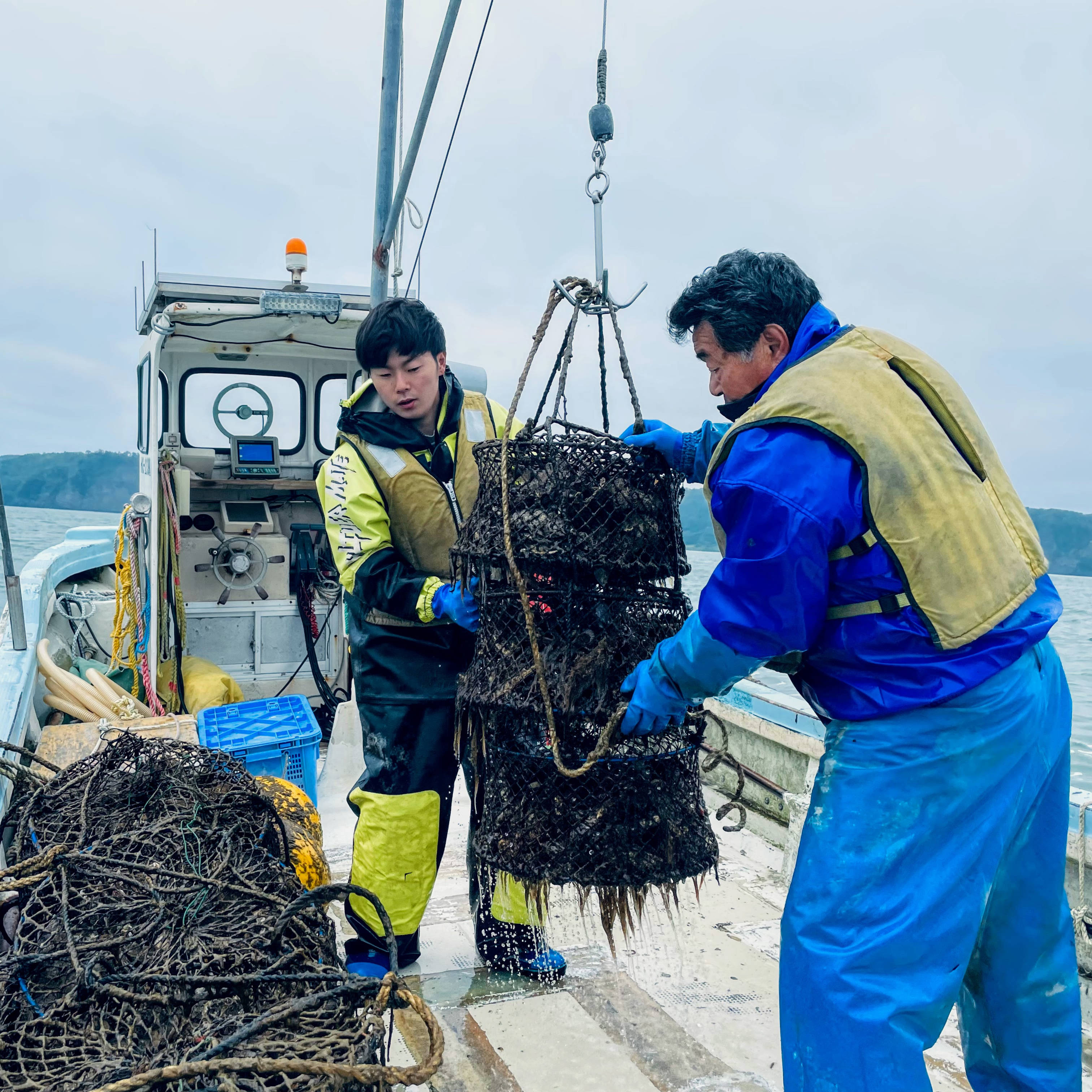 市場 ふるさと納税 かきナイフ付き漁師直送K4-2 4kg〜6kg 牡蠣 仙鳳趾産 100g〜149g×40コ 出荷時期：7月1日〜翌年1月31日出荷  北海道