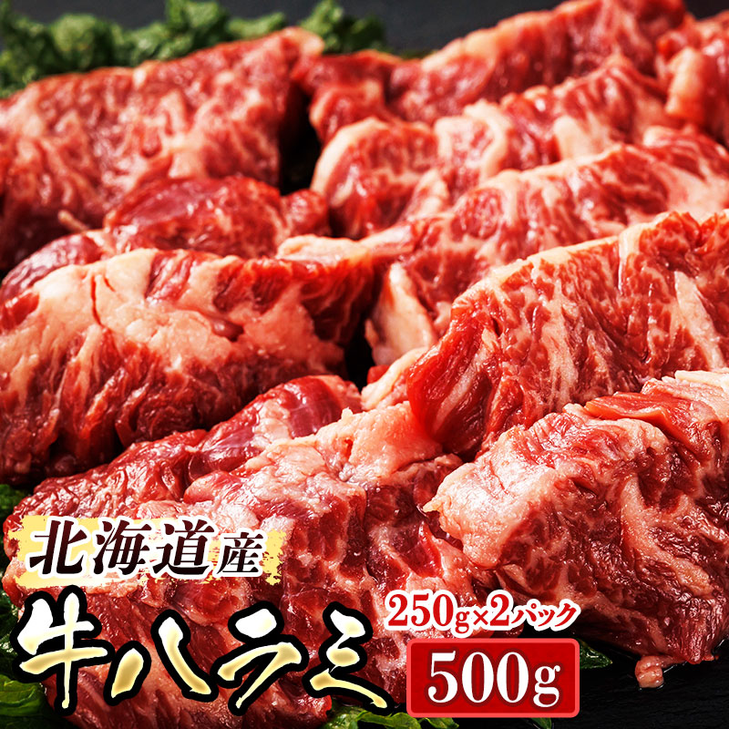 【ふるさと納税】＼希少／ 北海道産 牛ハラミ  計500g ＜250g×2パック＞ 職人 手切り 人気 アウトドア キャンプ BBQ にも おすすめ 焼き肉 焼肉 焼肉セット 焼肉用 小分け  ホルモン 北海道 釧路町 釧路超 特産品 br03