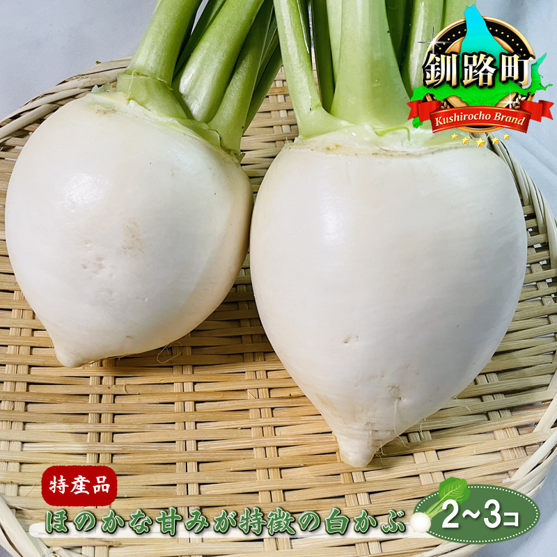 北海道 特産 野菜 種類豊富な品揃え, 43% 割引 | portguardpaint.com