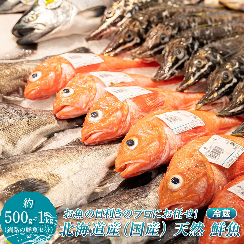 【ふるさと納税】プロ厳選 北海道産 天然 鮮魚セット （冷蔵） 500g～1kg ｜ 鮮魚ボックス 詰め合わせ 刺身 下処理 切り身 料理に 人気 ヒロセ 産地直送 魚介 海鮮 発送 すぐ届く 釧路町 釧路超 特産品 br02｜北海道釧路町