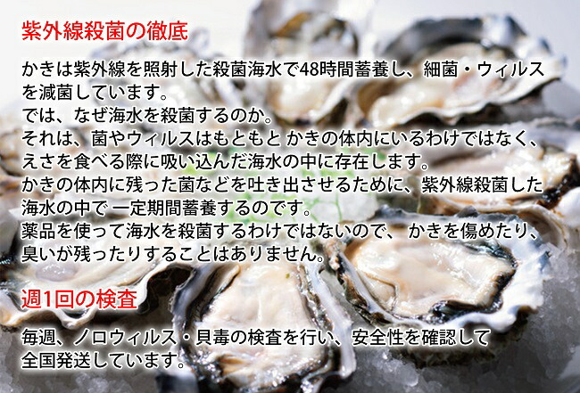 ふるさと納税 厚岸発明ブランド名かき カキえもん L大いさ15個書き割り 魚介比い カキ お届け 老年期11御月様 21年7月終わりまで Acilemat Com