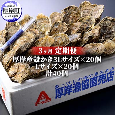 北海道厚岸町 魚介類 水産加工品 北海道厚岸町 貝類 ふるさと納税 カキ 定期便 魚貝類 生牡蠣 かき 北海道厚岸産 殻かき3l個 L個セット 3ヶ月定期便