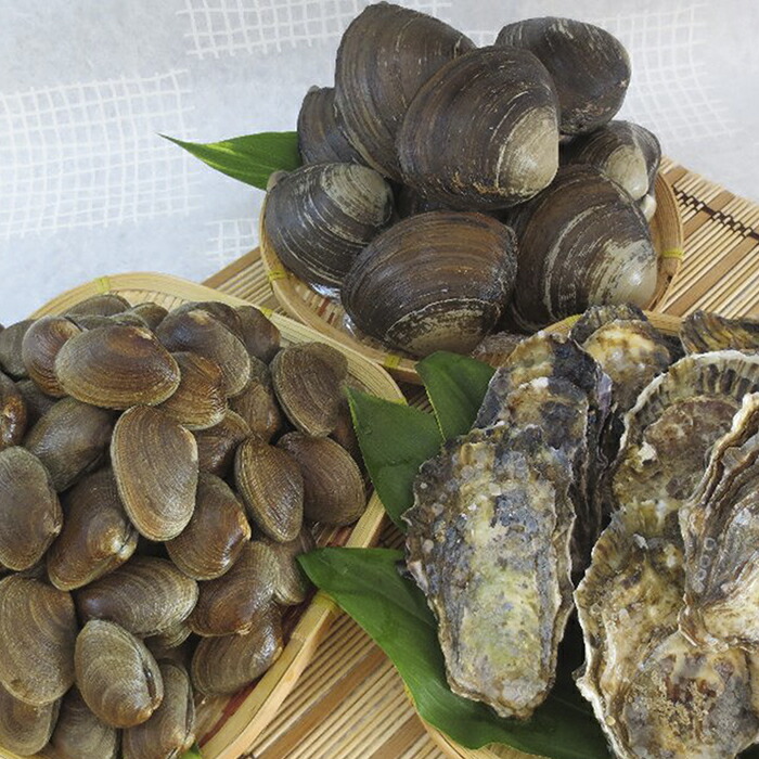 カキ あさり ほっき3種セット 魚介類 水産加工品 北海道厚岸町 カキ 10月から配送 お届け 21年10月 22年5月末まで 北海道厚岸町 ふるさと納税 魚貝類 生牡蠣 かき アサリ あさり 浅利 カキ ほっき