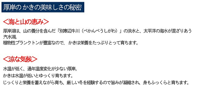 【ふるさと納税】≪先行予約11月から配送≫厚岸産カキえもんLL20個・サッポロクラシック6本セット【魚介類・カキ・牡蠣・お酒・ビール・サッポロビール】お届け:2022年11月〜2023年7月末まで