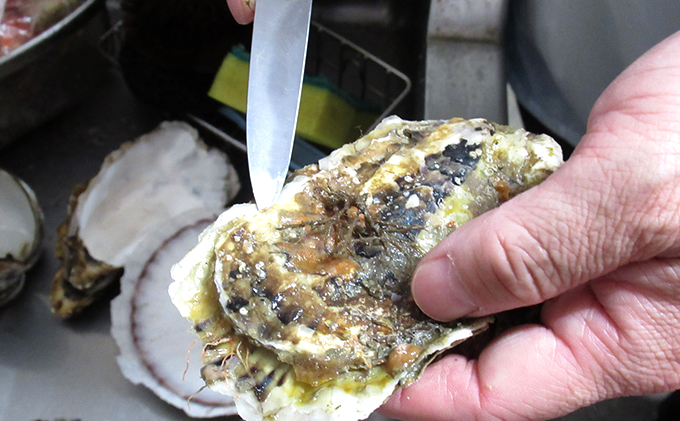 オンライン大阪 ふるさと納税 魚貝類 生牡蠣 かき 牡蠣 カキ ふるさと納税 厚岸のブランド牡蠣 マルえもん Lサイズ40個 生食用 カキ 北海道厚岸町 魚貝類 生牡蠣 かき 牡蠣 カキ 通販値下