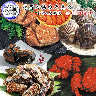 ふるさと納税 厚岸の魅力大集合 毛カニ 季節の定期便 花咲ガニ 定期便 蟹 茹で蟹 全6回お届け ふるさと納税 厚岸の魅力大集合 毛カニ 季節の定期便 花咲ガニ 定期便 蟹 茹で蟹 全6回お届け