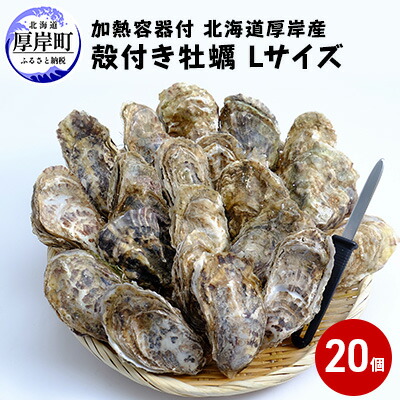 【ふるさと納税】厚岸産 殻付き牡蠣Ｌサイズ20個入(加熱容器付)北海道 牡蠣 カキ かき 生食 生食用 ミルク レンジ 魚貝類 生牡蠣 送料無料 新鮮 濃厚 大粒 メルマガ掲載商品2