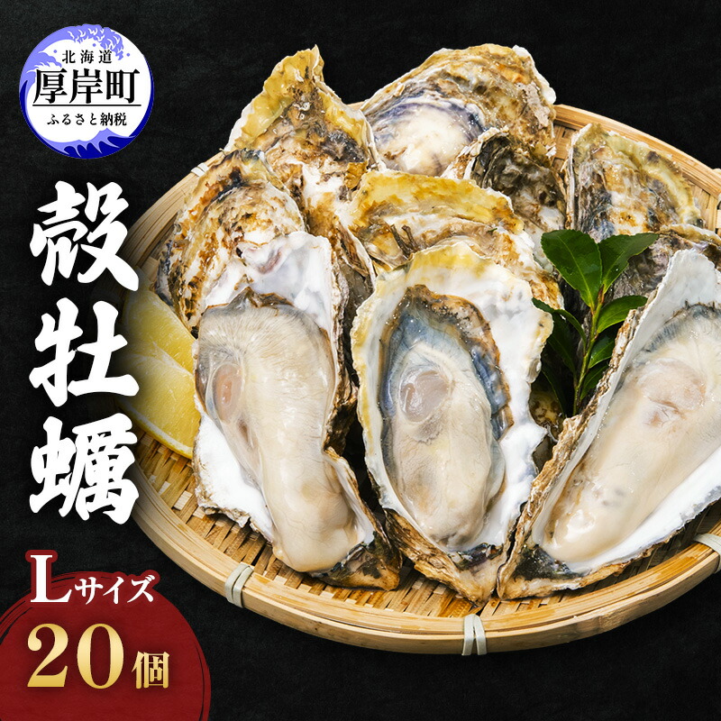 【ふるさと納税】厚岸産 殻牡蠣 Lサイズ 20個 セットカキ 牡蠣 魚介類 送料無料 新鮮 濃厚 大粒 メルマガ掲載商品2