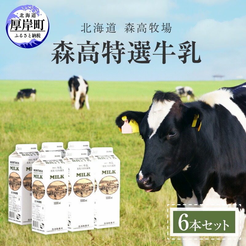 【ふるさと納税】森高特選 牛乳 6本 セット (1本あたり１L×6本,合計６L) 北海道 牛乳 ミルク