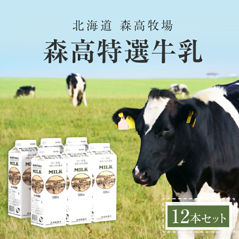 【ふるさと納税】森高特選 牛乳 12本セット (1本あたり１L×12本,合計12L) 北海道 乳 ミルク