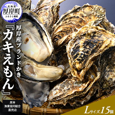 【ふるさと納税】厚岸産ブランドかき カキえもん Lサイズ 15個セット 北海道 牡蠣 カキ かき 生食 生食用 生牡蠣 魚介類　お届け：2025年11月～2026年7月31日まで