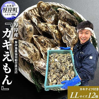 【ふるさと納税】厚岸産 ブランドかき カキえもん LLサイズ 12個  牡蠣 魚介類 　お届け：2024年11月～2025年7月30日まで