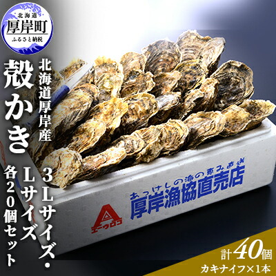 【ふるさと納税】厚岸産 殻かき 3L 20個・L 20個セット (合計40個) 北海道 牡蠣 カキ かき 生食  魚介類