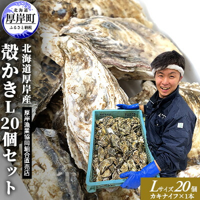 【ふるさと納税】厚岸産 殻かき L 20個セット 北海道 牡蠣 カキ かき 生食  魚介類