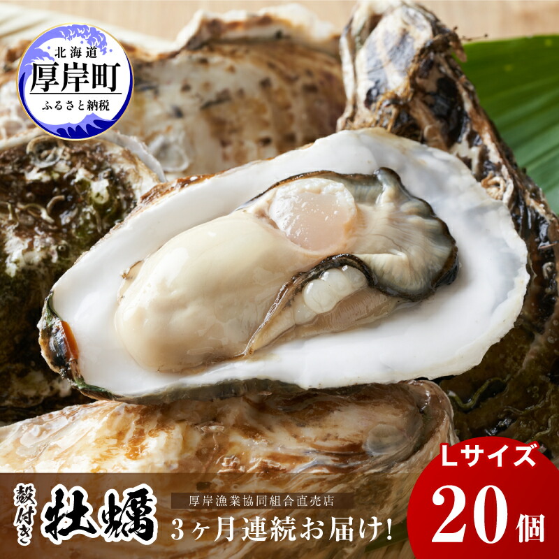 【ふるさと納税】定期便 3ヶ月 北海道 厚岸産 牡蠣 Lサイズ 20個 (各回20個×3ヶ月分,合計60個) 殻付き 生食 カキナイフ付き かき カキ 生牡蠣 魚介類 貝