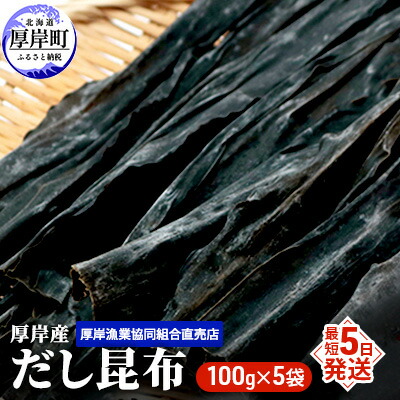 【ふるさと納税】【とっても便利】 厚岸産 だし昆布 100g×5袋 (合計500g) 魚貝類 こんぶ