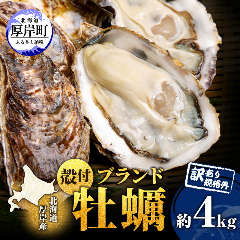 【ふるさと納税】訳あり 牡蠣 北海道厚岸産 殻付カキ 約4kg (25から50個) カキナイフ付 生食 生牡蠣 貝付き牡蠣 貝 海鮮 魚介類 殻付き牡蠣 　お届け：※12月20日～1月8日配送不可
