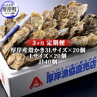 【ふるさと納税】定期便 3ヶ月 北海道 厚岸産 牡蠣 3L 20個 と L 20個 ひと月あたり40個お届け (各回40個×3ヶ月分,合計120個) 殻付き 生食 かき カキ 生牡蠣 貝付き牡蠣 貝 海鮮 魚介類