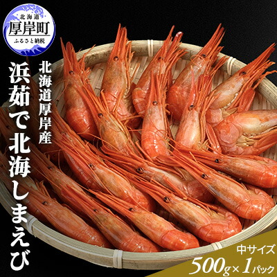 【ふるさと納税】季節限定 北海道 厚岸産 浜茹で 北海しまえび（中サイズ）500g×1パック 海老 エビ 　お届け：2025年6月15日～7月31日まで