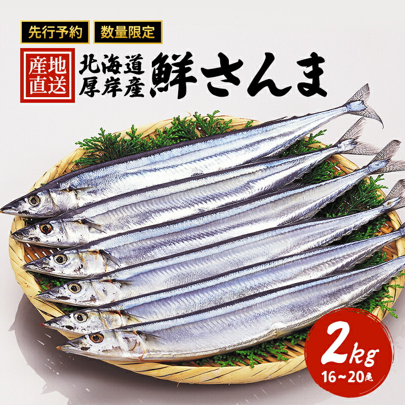 【ふるさと納税】先行予約 産地直送 北海道 厚岸産 刺身用 鮮さんま 2kg（16～20尾） サンマ 秋刀魚 さんま 鮮魚 魚介類 海産 生さんま 　お届け：2025年9月20日～11月10日まで