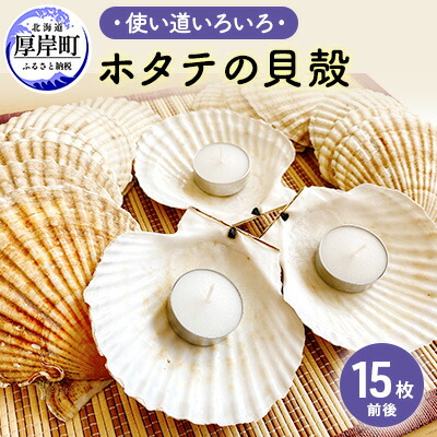 楽天市場】ほたて貝殻皿（最大径約12cm・100枚）【ふるさと物産