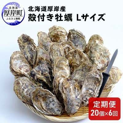 【ふるさと納税】6ヶ月 定期便 厚岸産 殻付き 牡蠣 Ｌサイズ 20個入 (各回20個×6ヶ月分,合計120個) カキナイフ付き 加熱容器付き 魚貝類 生牡蠣 かき 殻付き牡蠣 マルえもん 6カ月 6回 半年