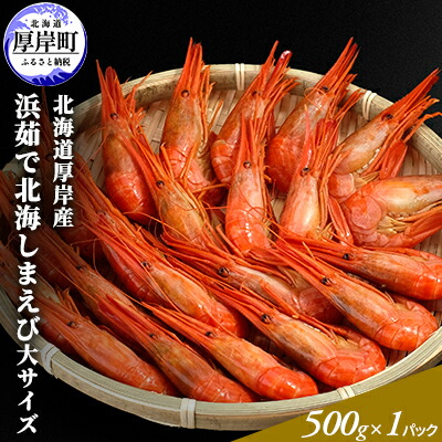 【ふるさと納税】 季節限定 北海道 厚岸産 浜茹で 北海しまえび（大サイズ）500g×1パック 海老 エビ 新鮮 浜ゆで おつまみ 味噌汁 　お届け：2025年6月10日～7月31日頃まで