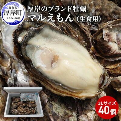 【ふるさと納税】牡蠣 厚岸のブランド牡蠣 マルえもん 3Lサイズ 40個 生食用 魚貝類 海鮮 海のミルク 国産 生食用殻付き牡蠣 まろやか クリーミー 食べやすい品種 海の香り 牡蠣の酒蒸し 焼き牡蠣